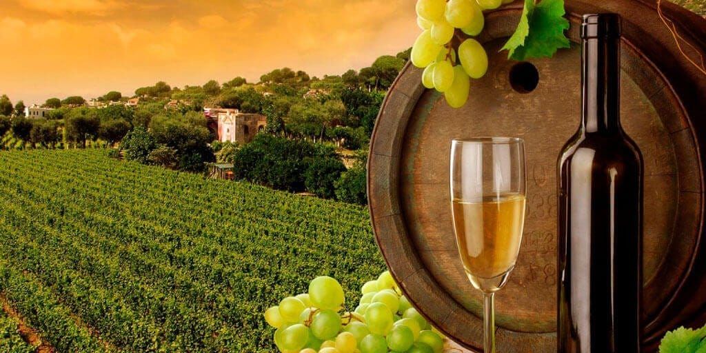 bol agri mayo 2017 1|