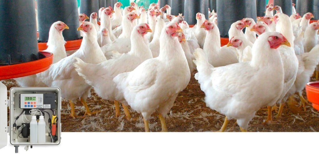 boletin agricultura avicultura 1|Avicultura 300x168 2|PCA330 V2 300x300 2