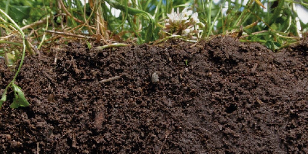 Medición de nitratos en los lixiviados provenientes de la agricultura|HI96728 300x300 2