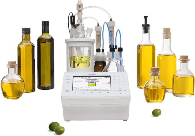 webinar febrero 26 FILIALES equipo