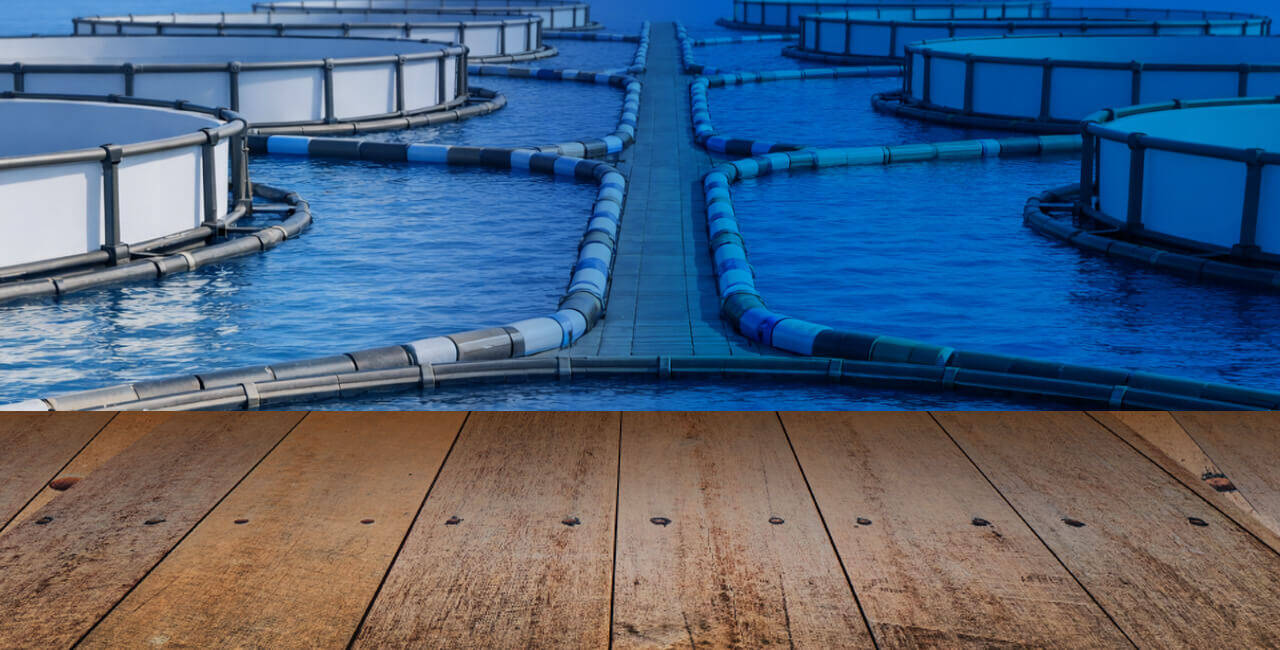 webinar marzo 26 FILIALES fondo