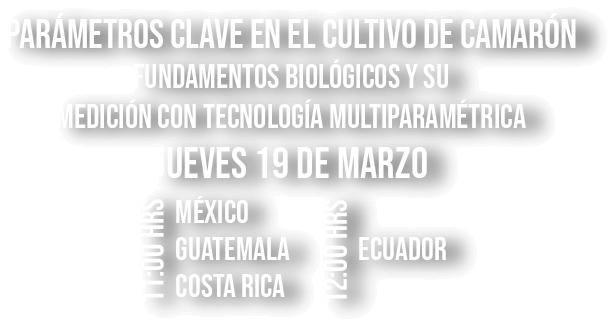 webinar marzo 26 FILIALES texto