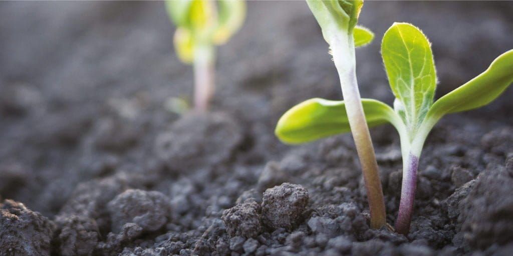 aplicacion ph en suelo 1|