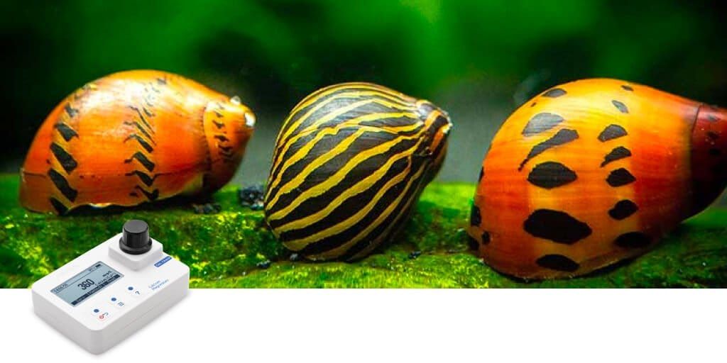 Importancia de la determinación de calcio en acuarios de caracoles de agua dulce|HI97752 300x300 2